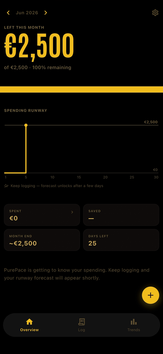 PurePace Overview — live spending runway